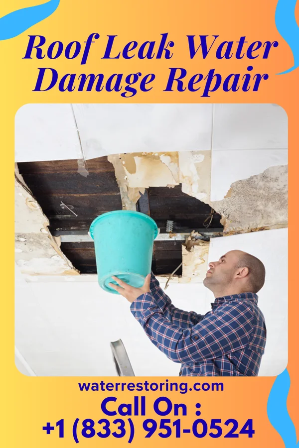 Roof Leak Water Damage Repair in Greenfield, WI